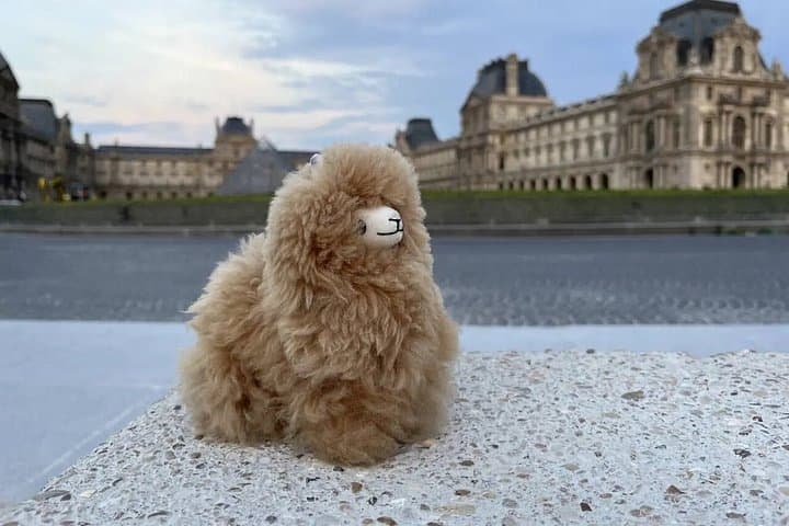 Paris day city tour by Car — photo 2