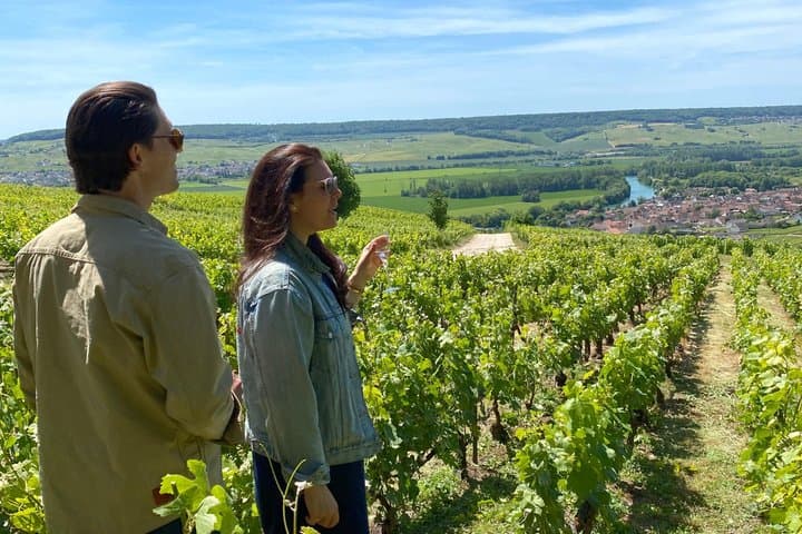 Champagne vineyards & cellars tour with Sommelier from Paris — photo 3