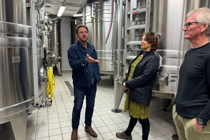 Champagne vineyards & cellars tour with Sommelier from Paris — photo 15
