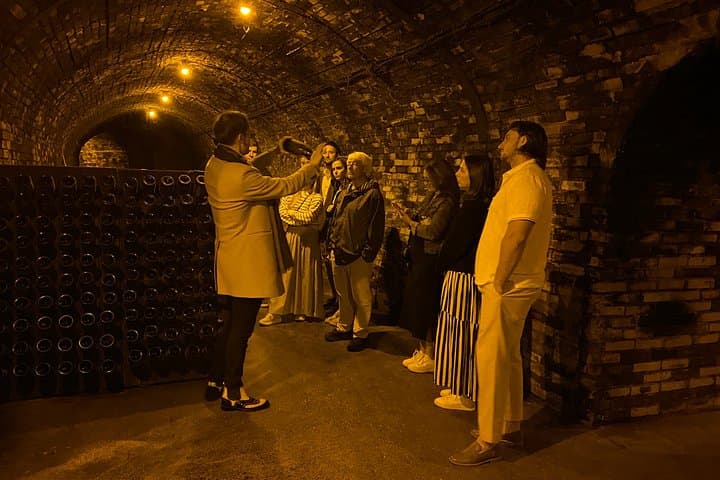 Champagne vineyards & cellars tour with Sommelier from Paris — photo 18