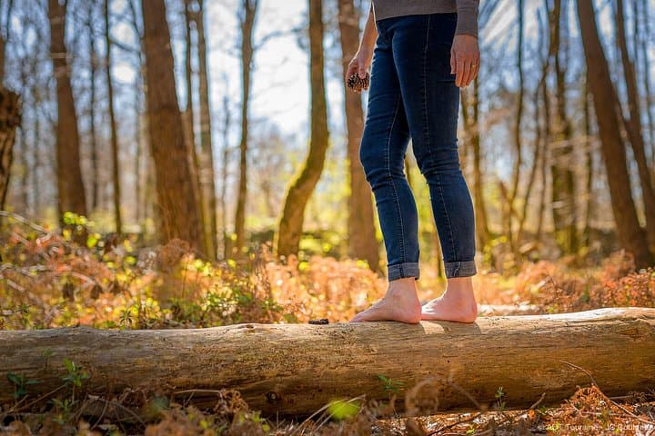 Silvotherapy an immersion in the heart of nature near Tours