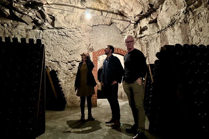 Champagne vineyards & cellars tour with Sommelier from Paris — photo 5