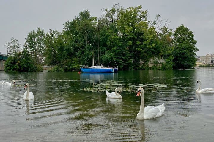 Giverny Monet’s Gardens & Old Mill - Small Group with Pick Up — photo 14