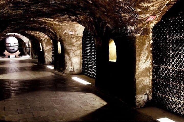 Champagne Day Trip from Paris with 4 Tastings, Reims & Cellars — photo 20