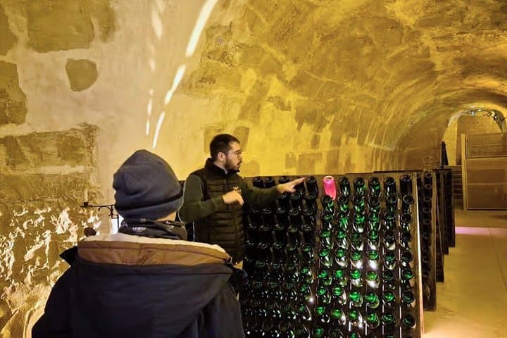 Champagne Day Trip from Paris with 4 Tastings, Reims & Cellars — photo 17