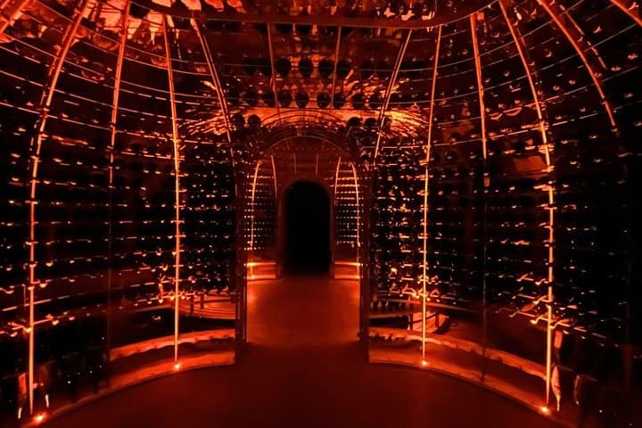 Champagne Day Trip from Paris with 7 Tastings Prestigious Houses — photo 5