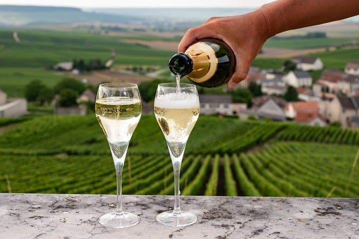 Private Champagne Day Trip - Two Vineyards of Reims & Lunch — photo 3