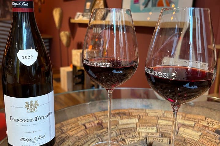Tasting of 4 Burgundy wines in Dijon