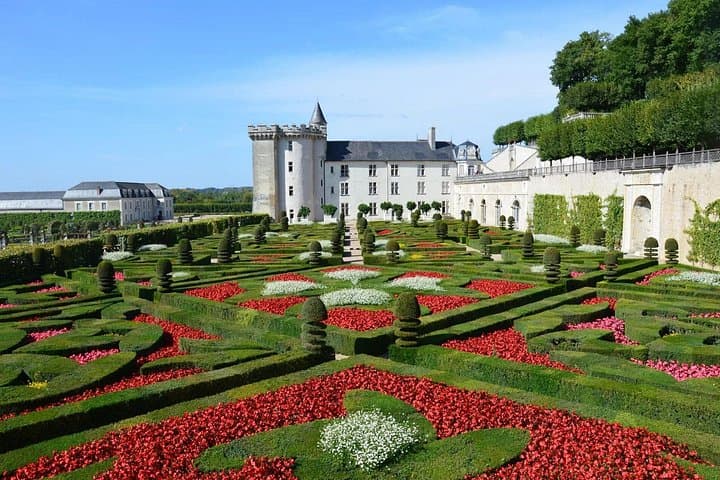 Private Chauffeur Service from Paris to Loire Valley Castles — photo 17
