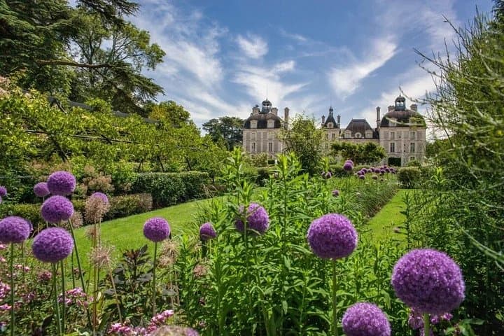 Private Chauffeur Service from Paris to Loire Valley Castles — photo 3