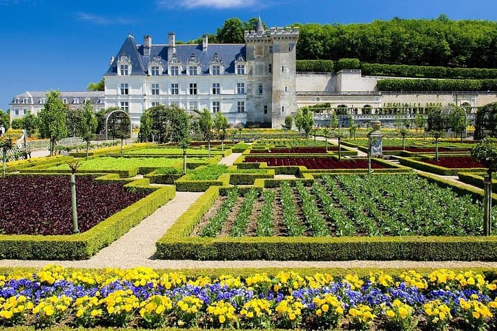 Private Chauffeur Service from Paris to Loire Valley Castles — photo 5