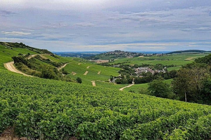 Private Chauffeur Service from Paris to Loire Valley Castles — photo 19