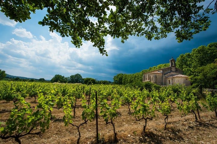Explore Gaillac Wines Private Half Day Tour From Toulouse