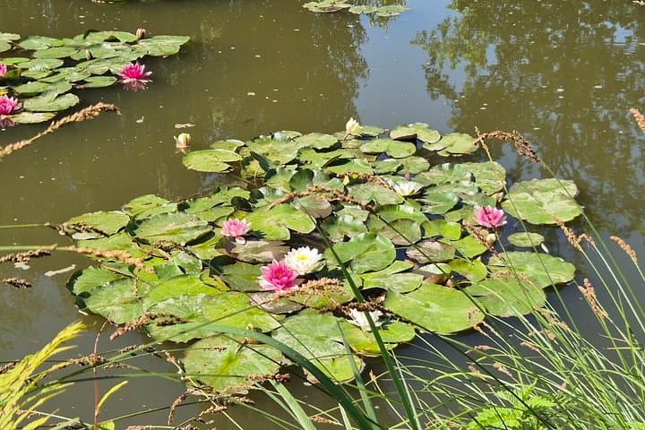 Paris to Giverny Half Day Trip Monet's House & Gardens by Minivan — photo 18