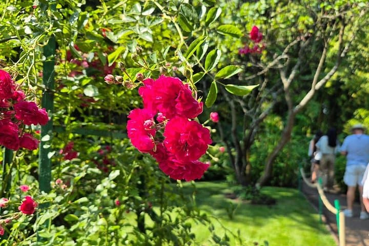 Paris to Giverny Half Day Trip Monet's House & Gardens by Minivan — photo 15