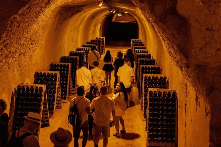 Small-Group Champagne Lunch & Tasting from Paris with Pickup — photo 1