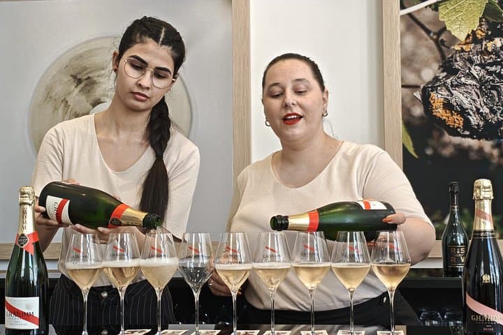 Champagne Day Trip from Paris with 7 Tastings Prestigious Houses — photo 4