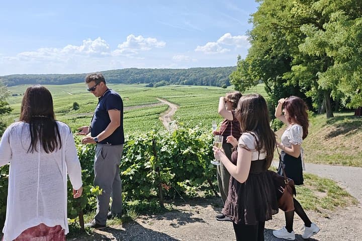 Champagne Day Trip from Paris with 7 Tastings Prestigious Houses — photo 7