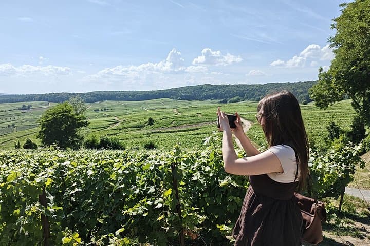 Champagne Day Trip from Paris with 7 Tastings Prestigious Houses — photo 16