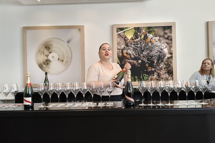 Champagne Day Trip from Paris with 7 Tastings Prestigious Houses — photo 13