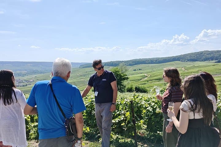 Champagne Day Trip from Paris with 4 Tastings, Reims & Cellars — photo 13