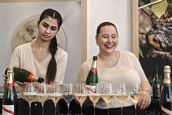 Champagne Day Trip from Paris with 4 Tastings, Reims & Cellars — photo 10