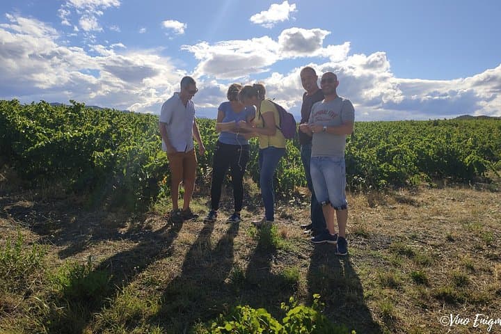 Escape Game in the vineyards