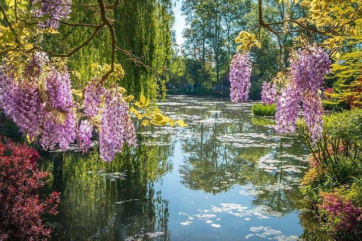 Monet Giverny Gardens Private Tour — photo 5