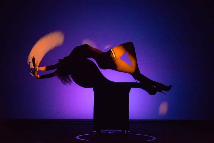 Paris Crazy Horse Cabaret Show — photo 12