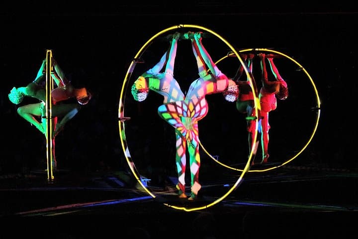 Paris Crazy Horse Cabaret Show — photo 13