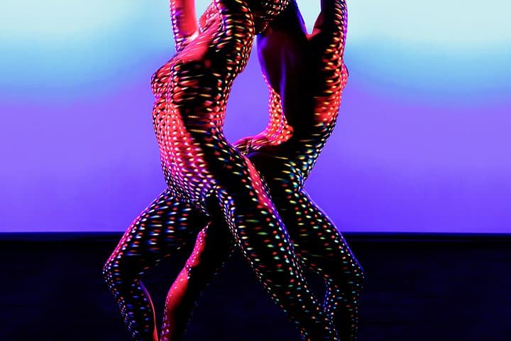 Paris Crazy Horse Cabaret Show — photo 16
