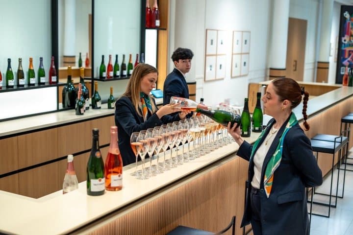 Champagne Icons: Private Tour of Veuve Clicquot, Ruinart & Moet — photo 3