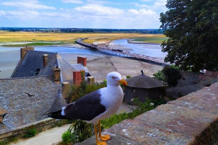 From Paris: Mont Saint-Michel Guided Day Trip with Entry — photo 6