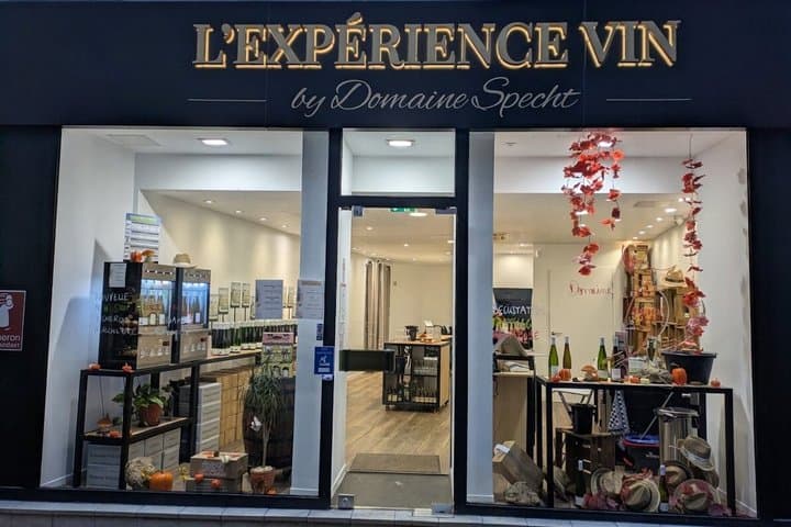 Wine and Gastronomy tasting in Colmar - The Signature Experience