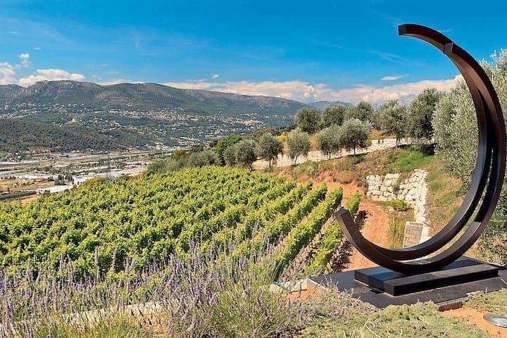 Provence Organic Wine Small Group Half Day Tour with Tastings from Nice