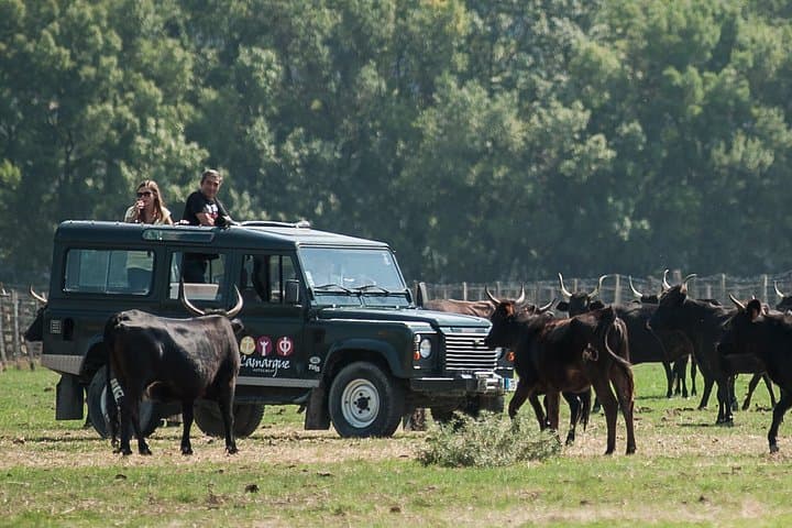 4x4 Safari Full Day with Meals (8h00)