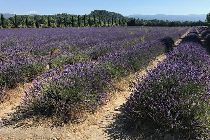 The hilltop villages of the Luberon