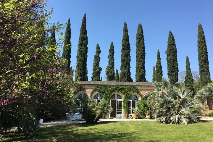 Small-Group Half-Day Châteaux of Montpellier Wine Tour