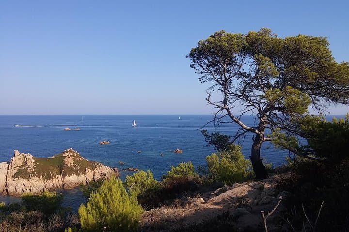 St Tropez and around - 7hours