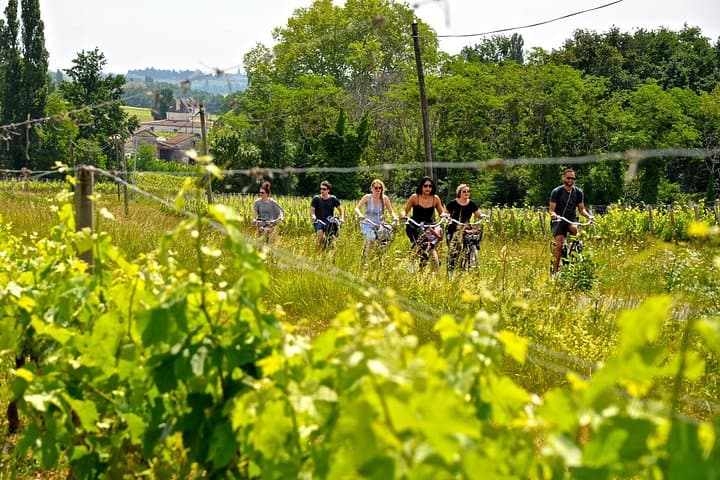 Saint-Émilion & Pomerol E-Bike & Wine Tour by Monsieur Bacchus