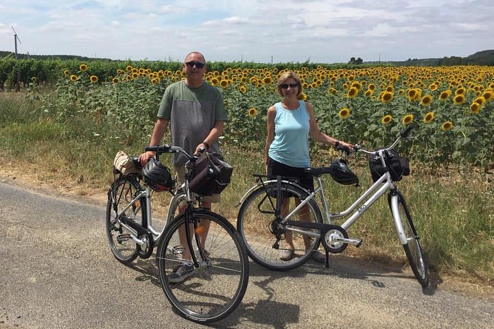 Vineyard cycle tours in and around Chinon, in the Loire Valley