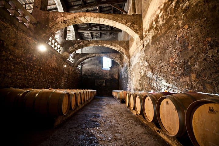 Chateau du Taillan and Park including Wine Tasting Tour