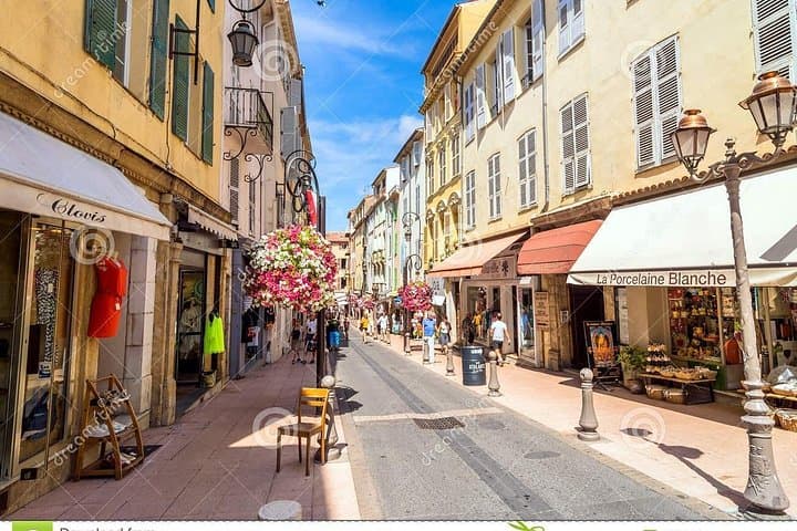 Antibes, Cannes Sightseeing Small Group Half Day Trip from Nice