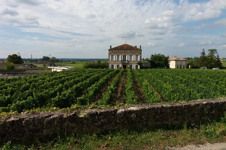 Saint Emilion Wine Tour Tasting Half Day from Bordeaux