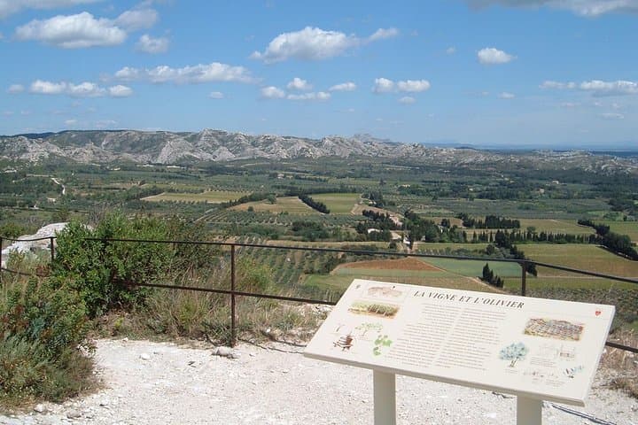 Custom Planned Provence Rosé Vineyard Tour with Private Driver