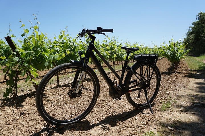 The wines of Provence.... a must to discover !