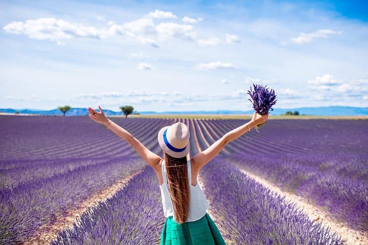 Provence Shared Half Day Lavender Tour from Aix en Provence