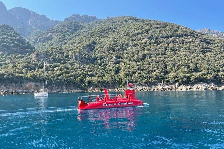 Semi-submarine: visit to the seabed of Porto Bay