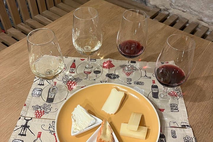 Cheese and Wine Pairing 1-Hour Session in Dijon