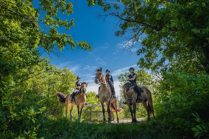 Day Trip to Fontainebleau : Horse Riding, Gastronomy and Castle